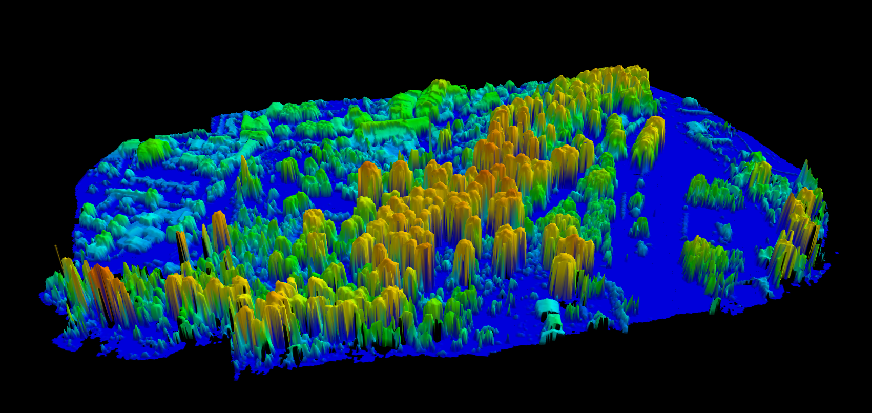 Lidarvisor - Canopy Height Model