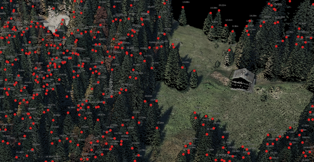 Lidarvisor - Forest Inventory