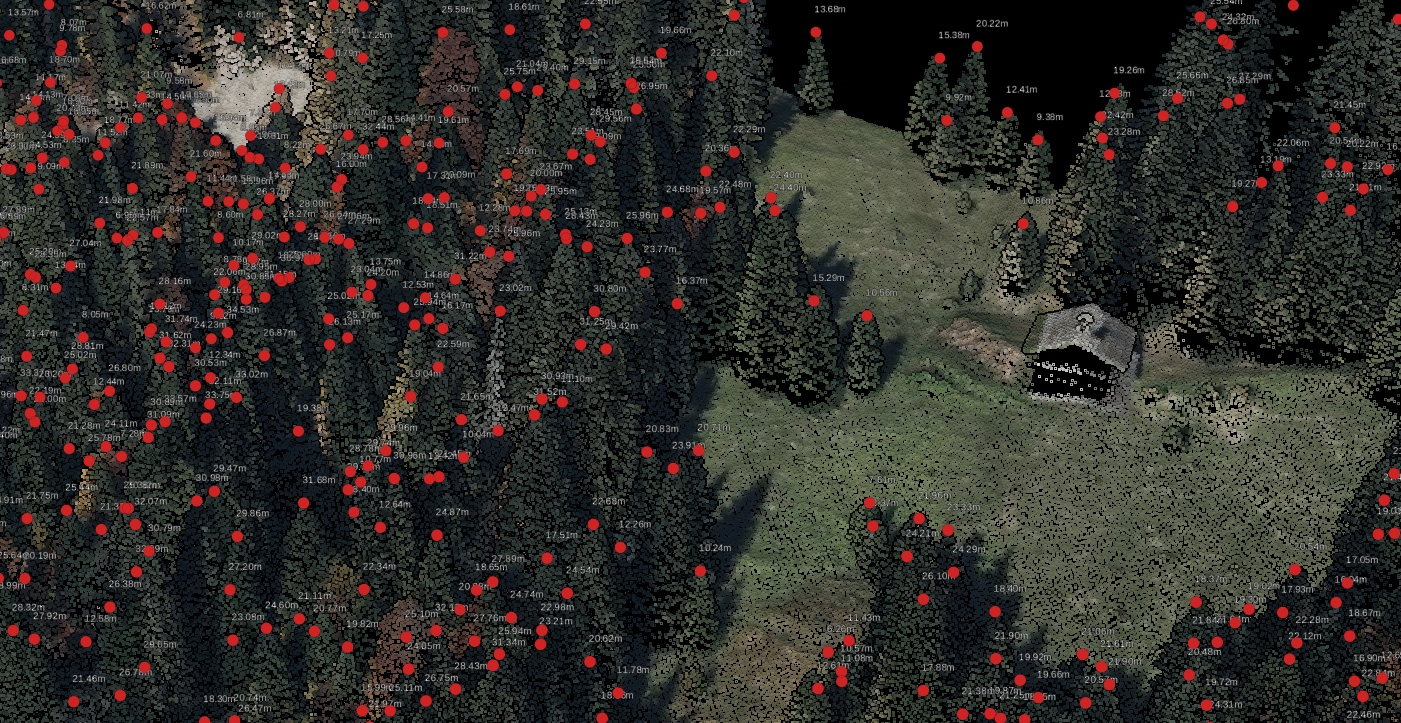 Lidarvisor - Forest Inventory