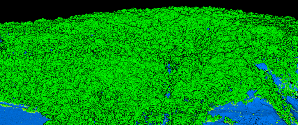 Lidarvisor - Quarry with Vegetation