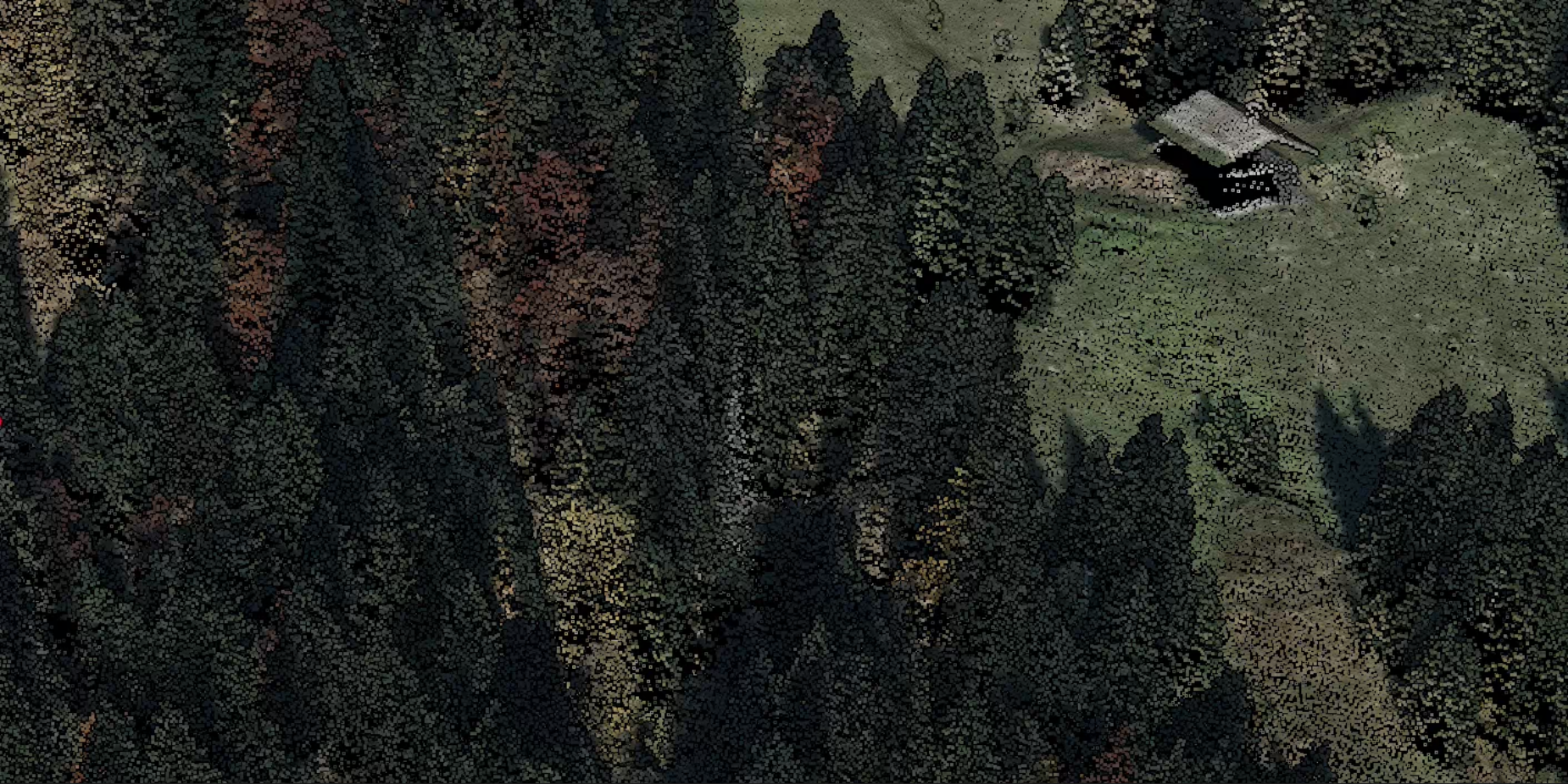 Lidarvisor - Tree Tops