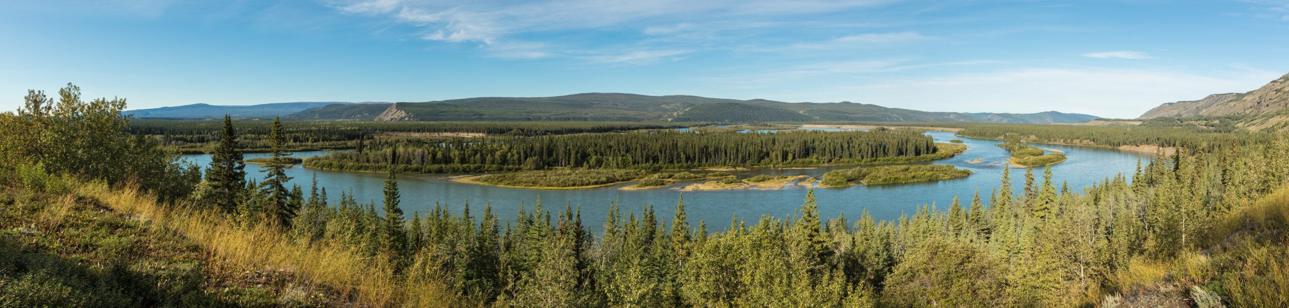 Yukon boreal forest representing Canadian allometric region