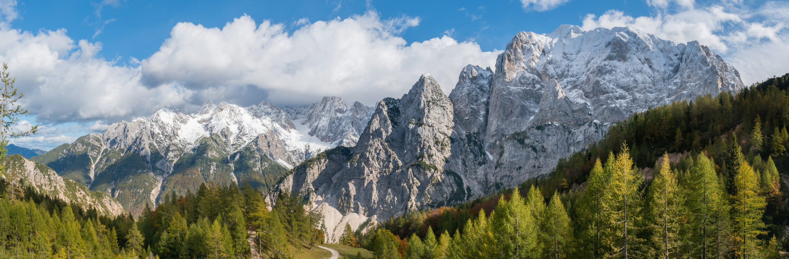 Julian Alps forest landscape representing European allometric region
