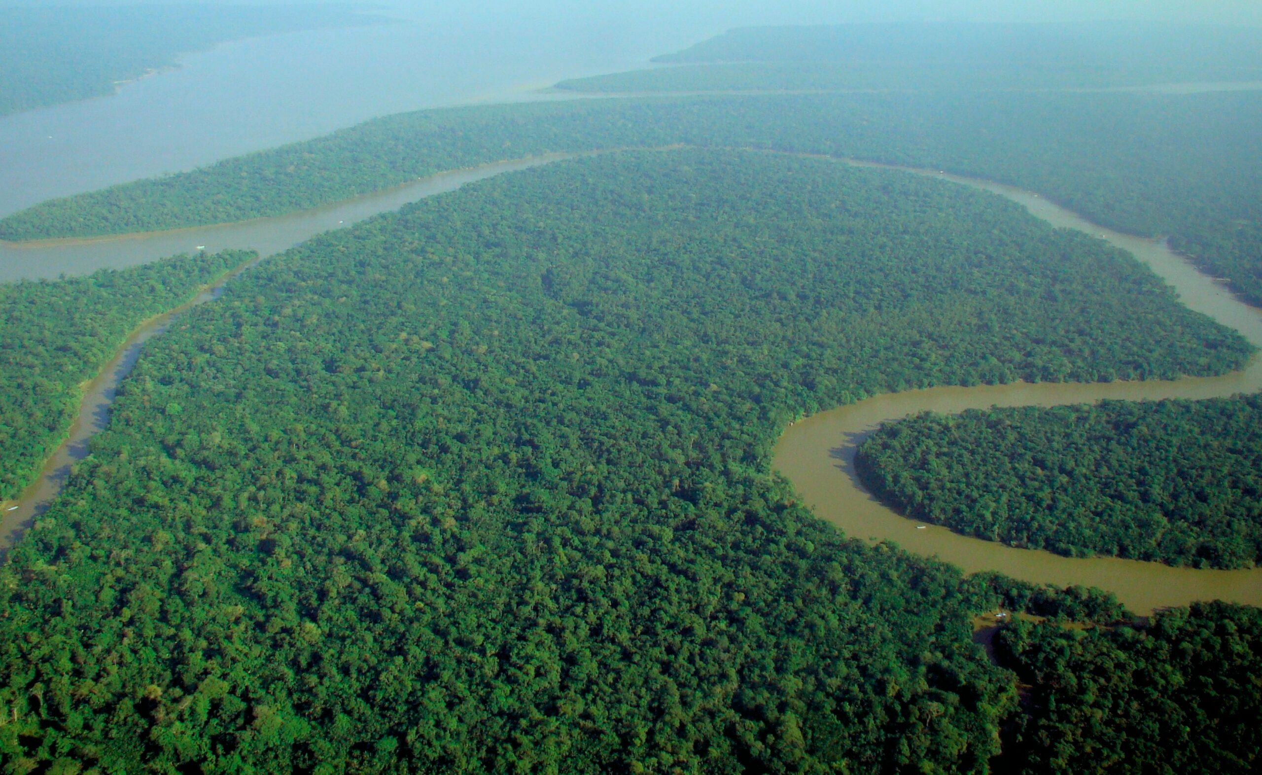 Aerial view of Amazon rainforest canopy for carbon estimation