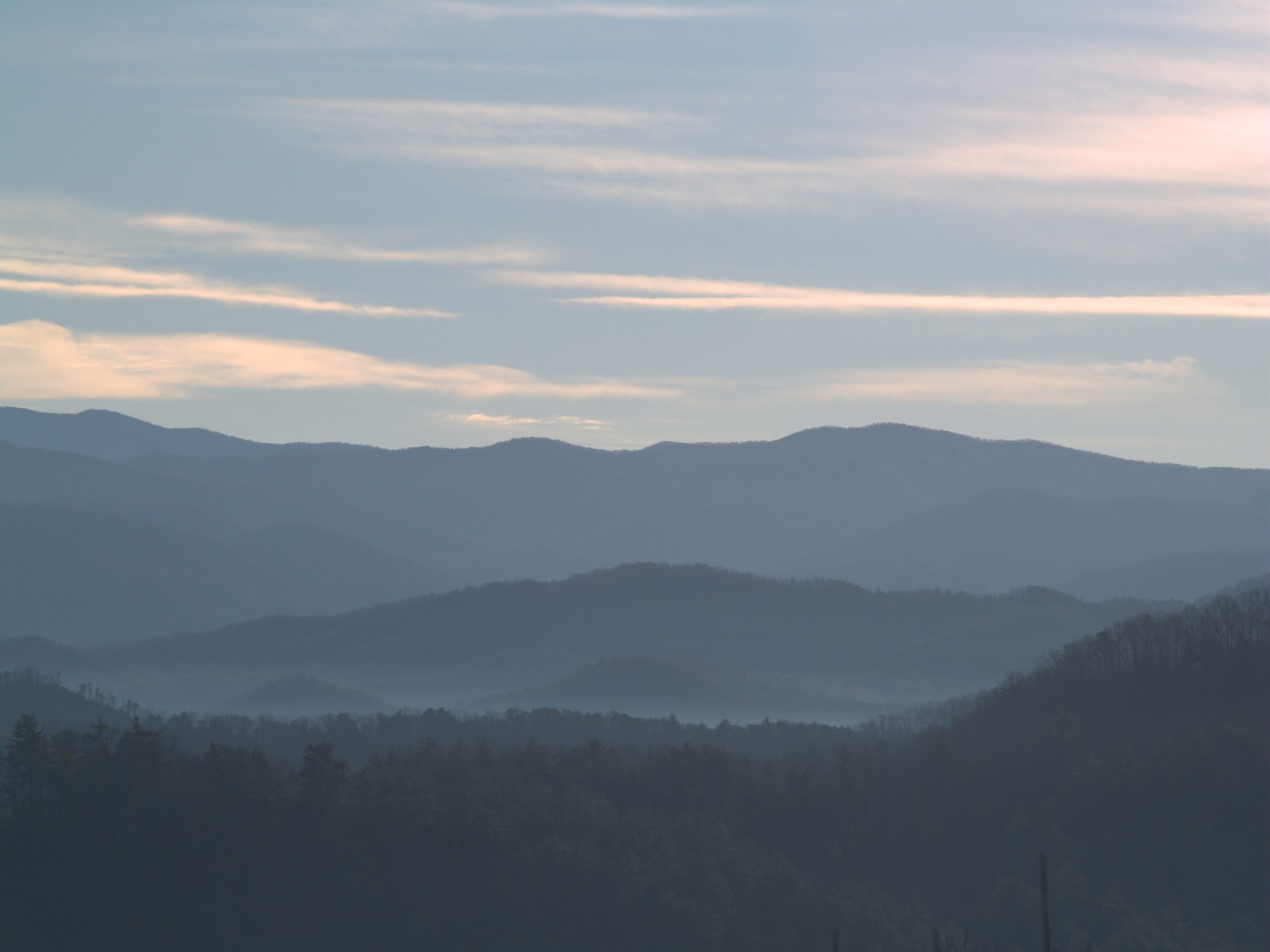 Great Smoky Mountains forest representing US allometric region