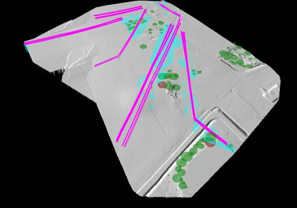 The same corridor with conductors in magenta, tree crowns in green, right of way findings in cyan and fall risk trees in red