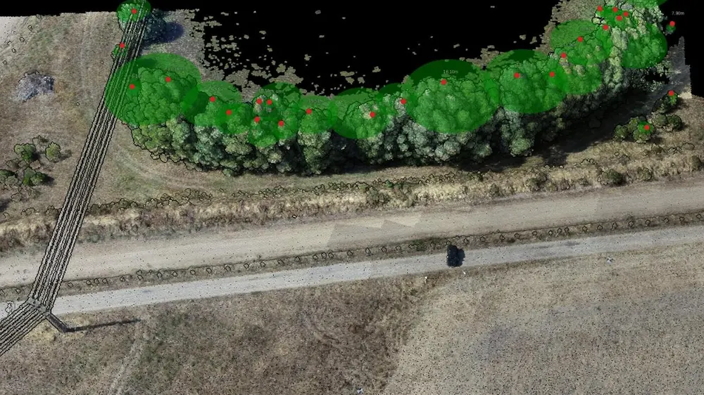 The same tree row with a red point and a height label on each tree top and a green disc for each crown