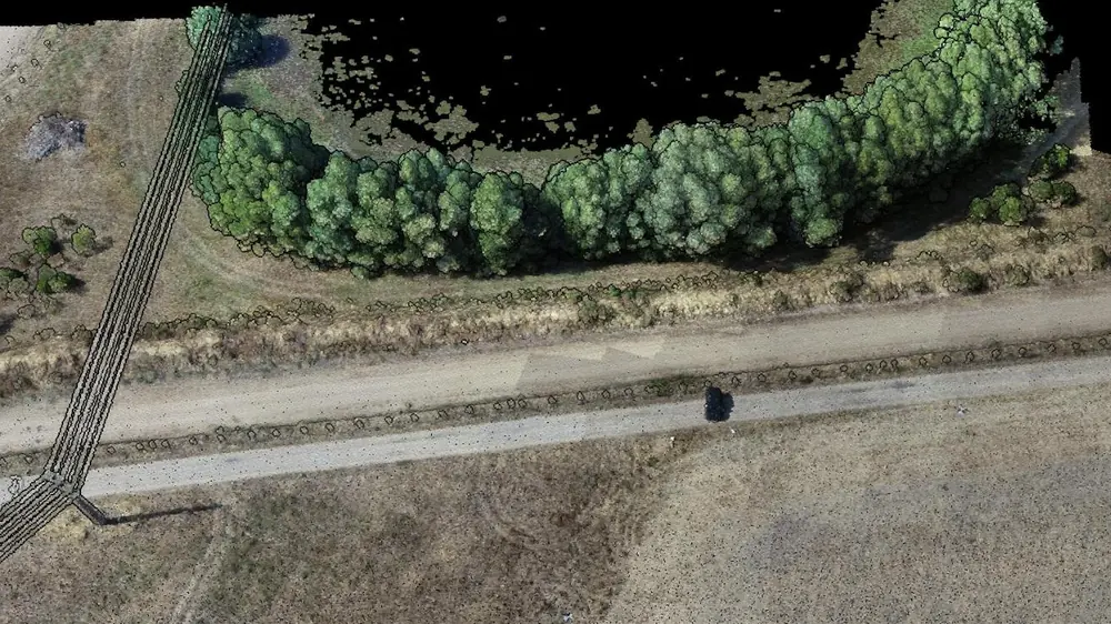 Drone point cloud of a row of trees beside a track, before processing