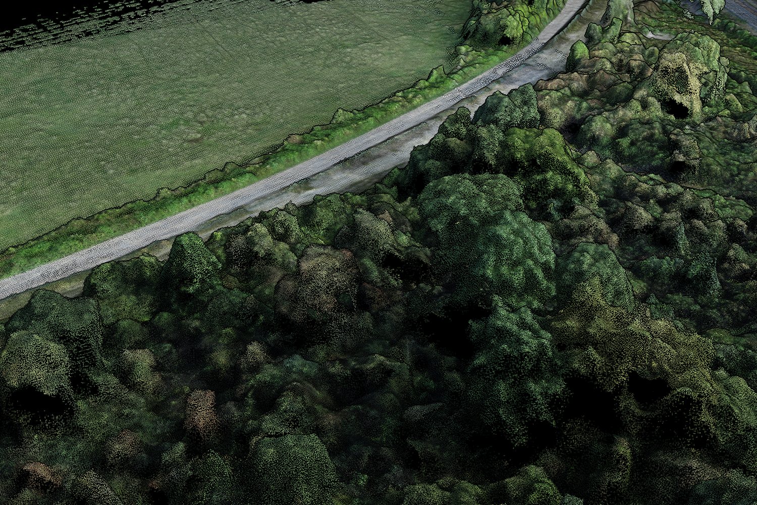 Close-up of the photogrammetric point cloud: tree crowns in 3D beside a gravel track and a field